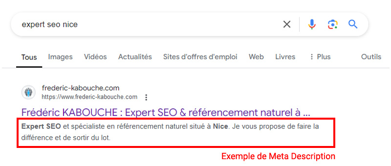 exemple de meta description